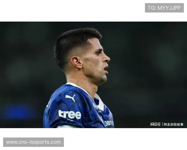 坎塞洛转会利雅得新月延迟,因税务证明问题需CEO签字 坎塞洛转会利雅得新月延迟,因税务证明问题需CEO签字